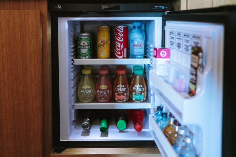 Migliori mini frigo