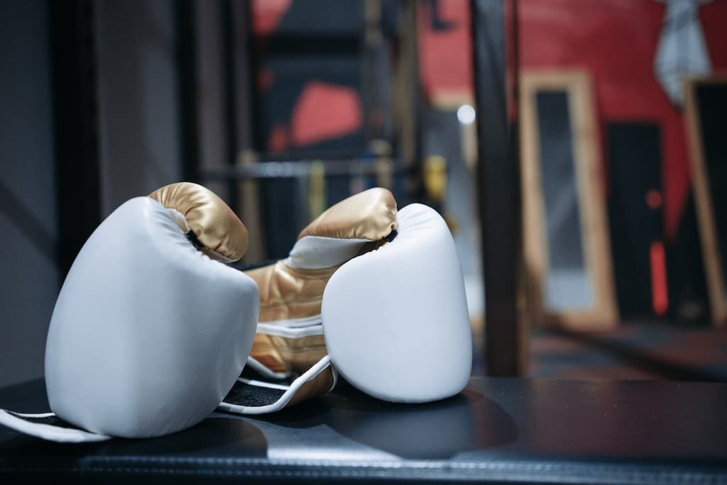 Migliori guantoni da boxe