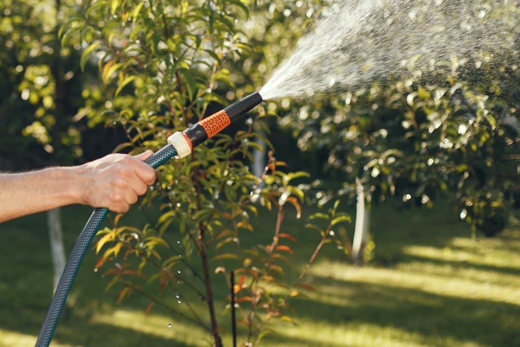 Migliori tubi da giardino